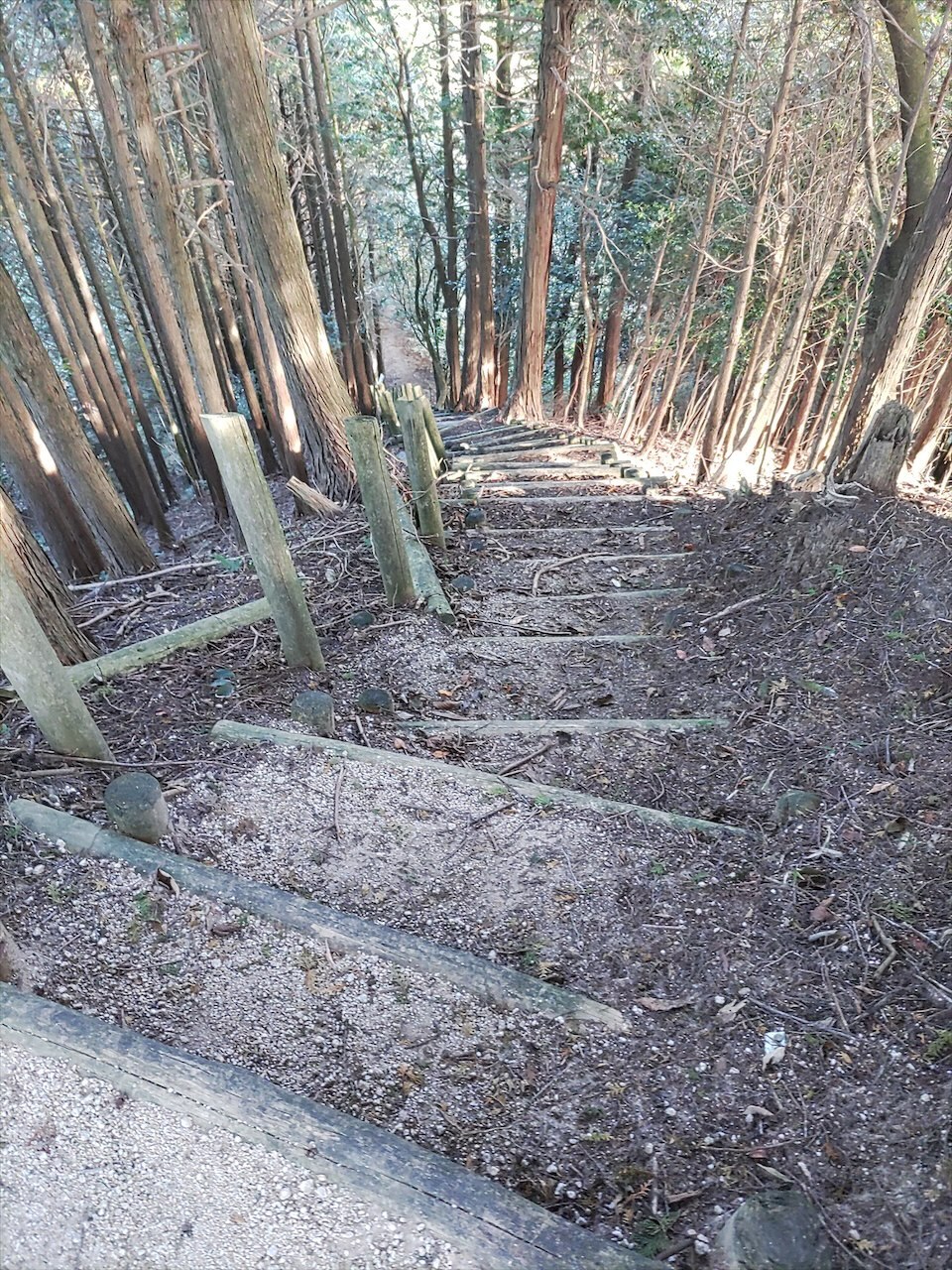 三子山分岐点