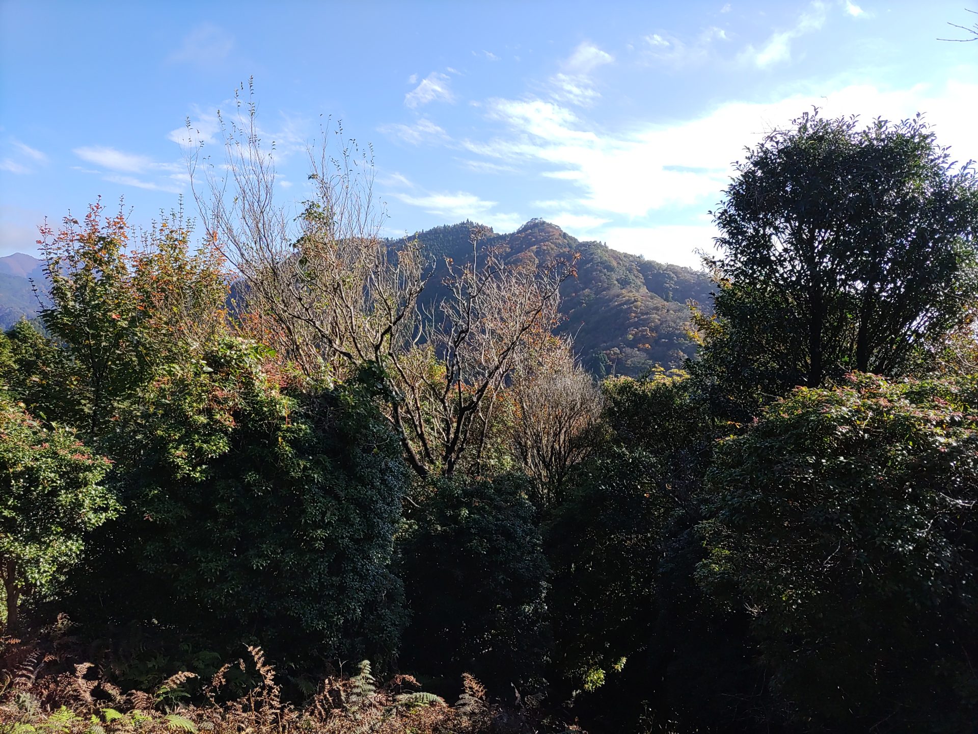 三子山山頂から御在所岳